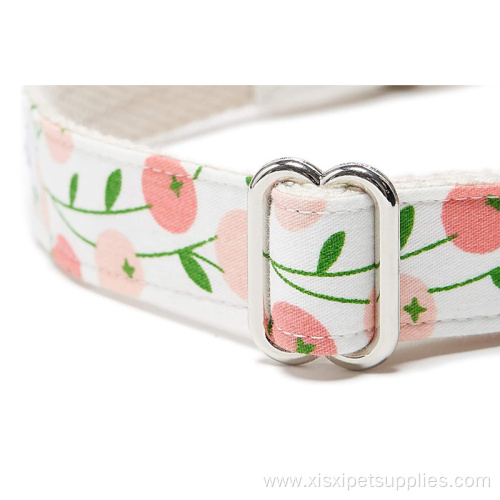 Design Nylon Dog Collar And Leash Set Wholesale